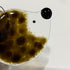 Fused Glass Hedgehog Hanging Decoration